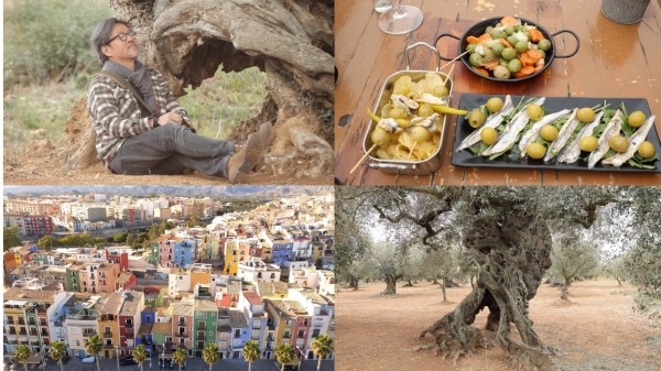 [세계테마기행] 스페인 여행 4부 - 올리브! 천년의 올리브 나무의 길