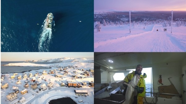 [세계테마기행] 순백의 동화, 핀란드 여행 3부 - 북극해로 가는 길...핀란드에서 가장 긴 썰매 코스