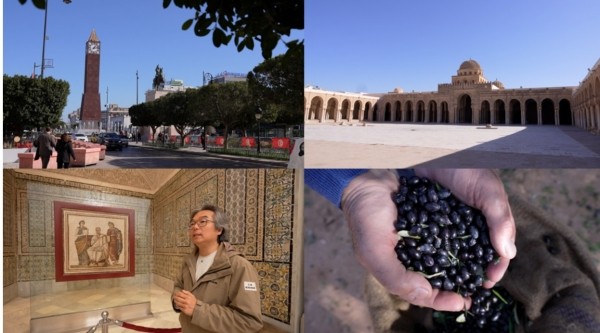 [세계테마기행] 튀니지 여행 4부 - 튀니지의 수도, 튀니스 역사 기행